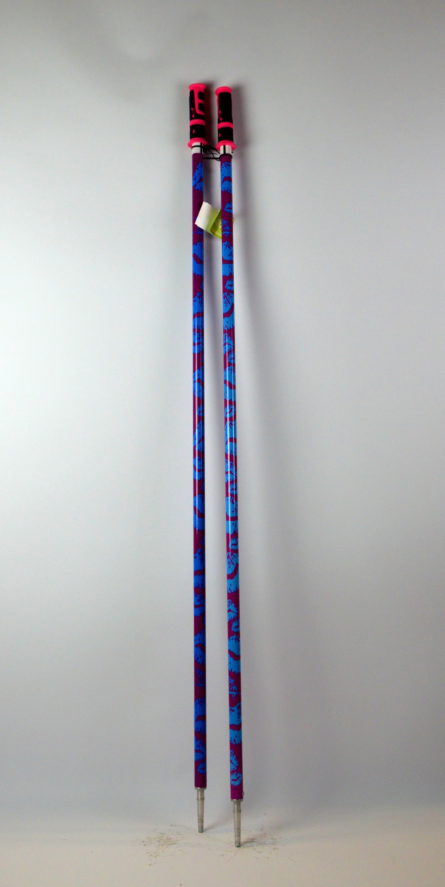 Skistokken Fatcan - NIEUW - Mountain Lab