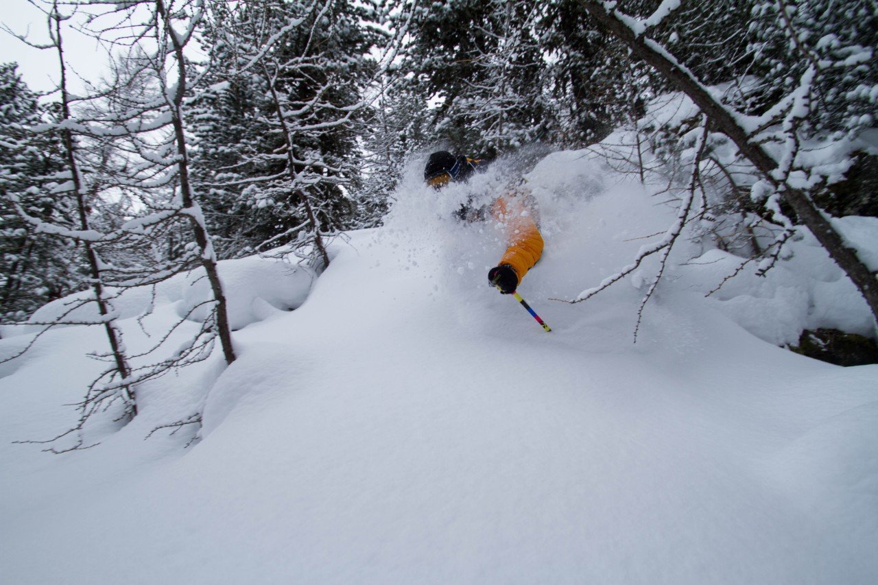 Freeride ski's