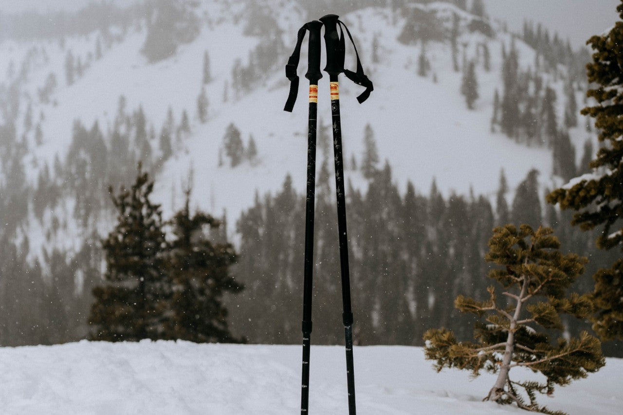 Skistokken